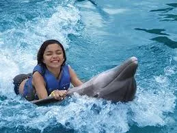 upside down dolphin with young girl riding dolphin