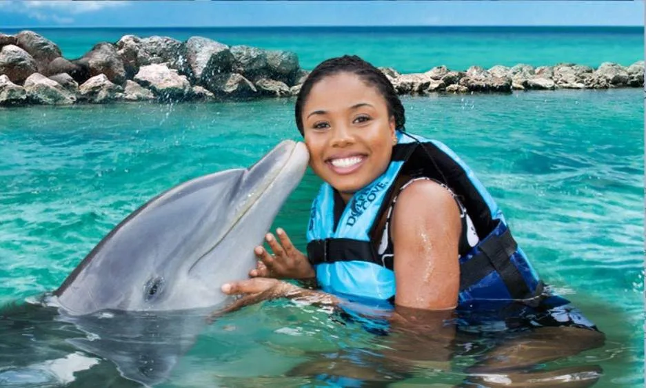 Image credit: Sunset at the Palms