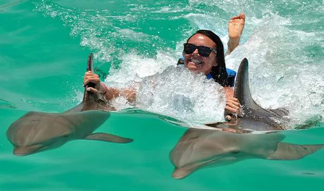 woman riding on two dolphin fins