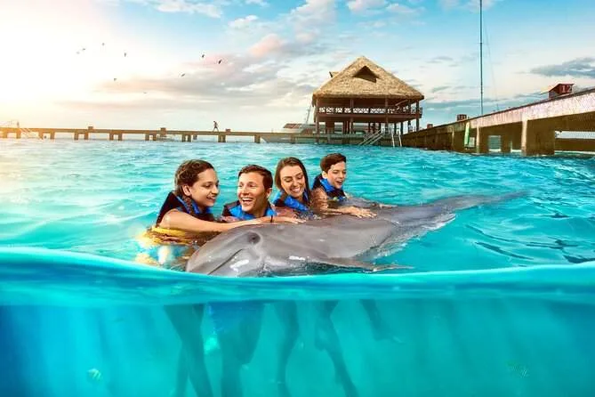family rubbing dolphin