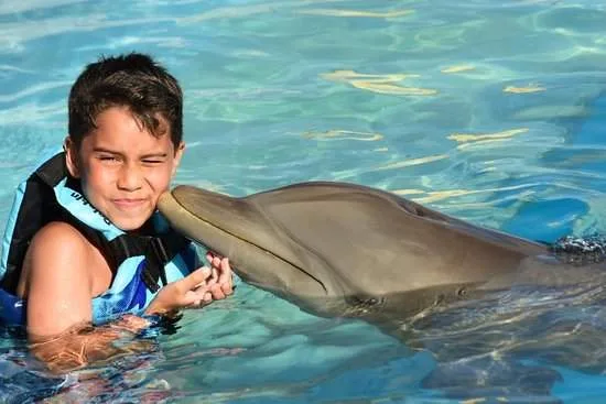 dolphin kissing young boy