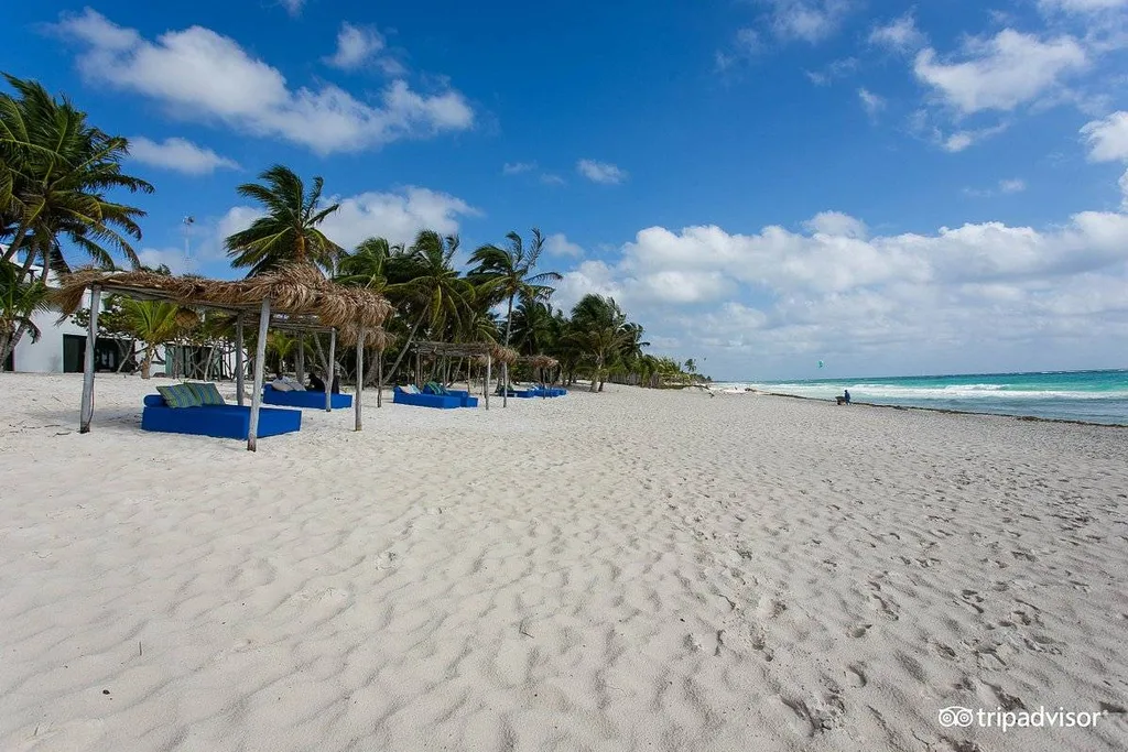 blue lounge chairs on white beach