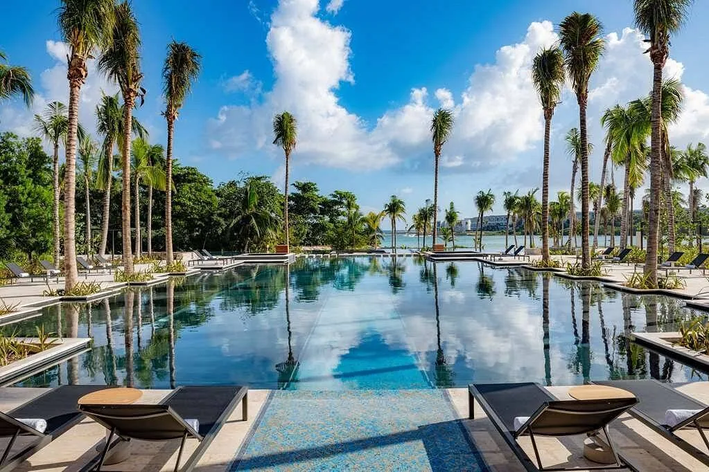 resort pool surrounded by palm trees