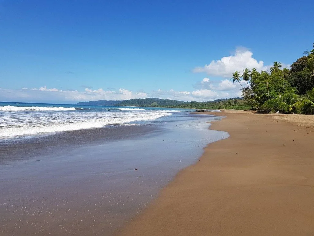clean beach with brown sand