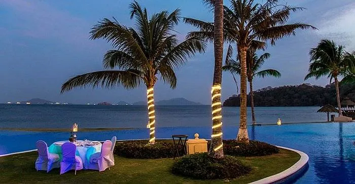 palm trees with lights around the base