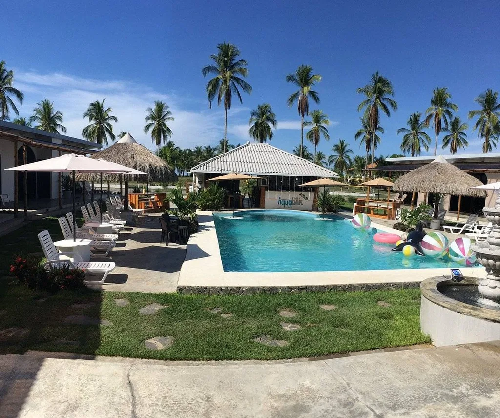 tropical resort pool lined with umbrellas