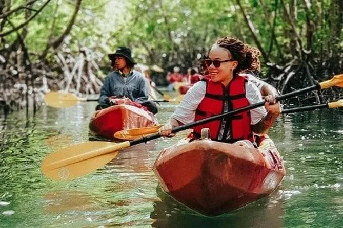 people in canoes rowing down river