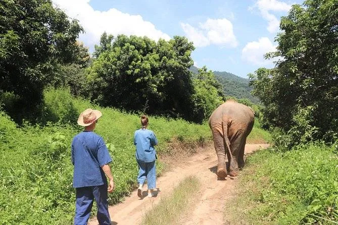 two people walking behind elephant