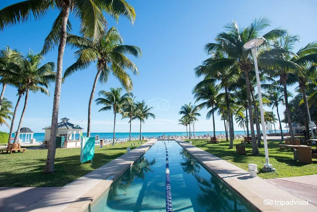 long resort pool lined by palm trees