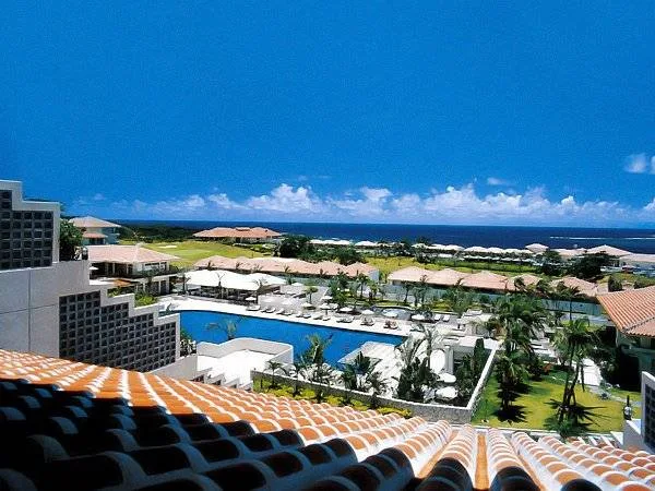 aerial view of resort pool