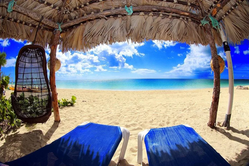 two blue lounge chairs under canopy