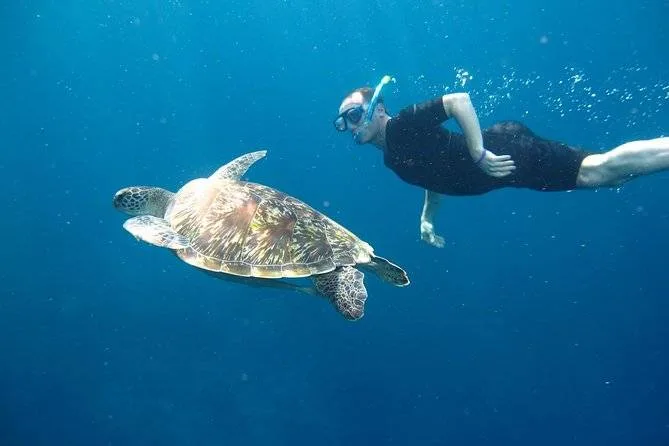 man snorkeling with turtle
