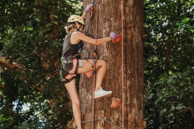 woman climbing tree