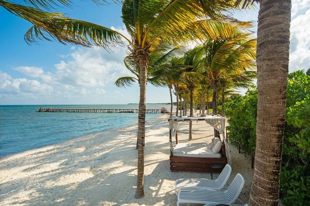 lounge chairs under palm trees on the beach