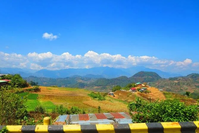 fields with mountains in background