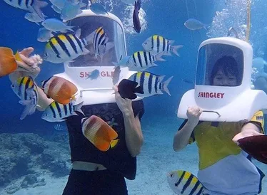 people with helmet gear surrounded by tropical fish