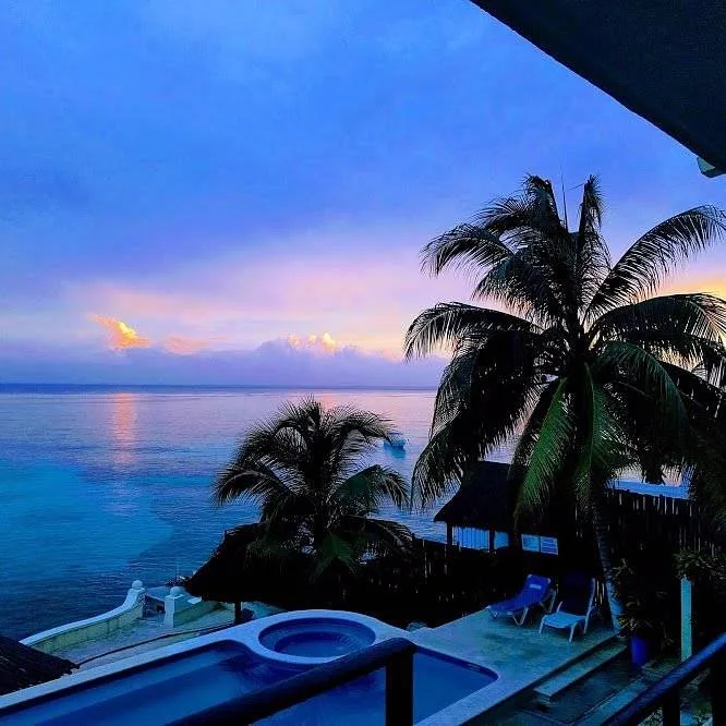 palm trees around private pool at beach