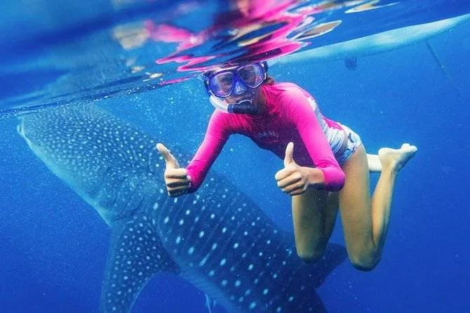woman swimming with whale shark