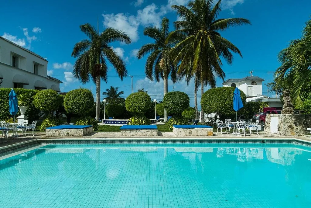resort pool with palm trees
