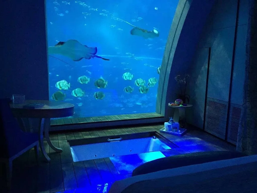 fish swimming outside hotel window