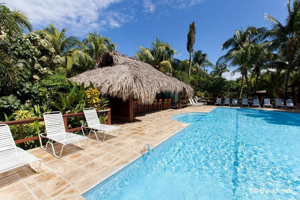 resort pool in jungle with white lounge chairs