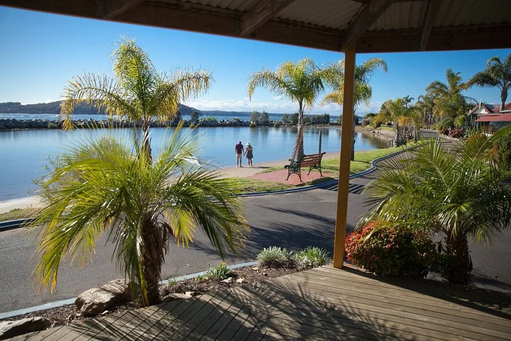 palm trees along water
