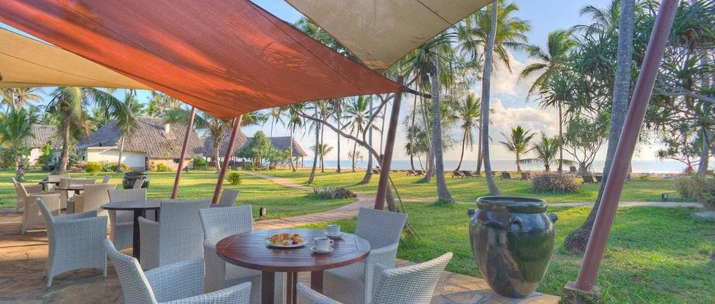 table with chairs surrounded by palm trees