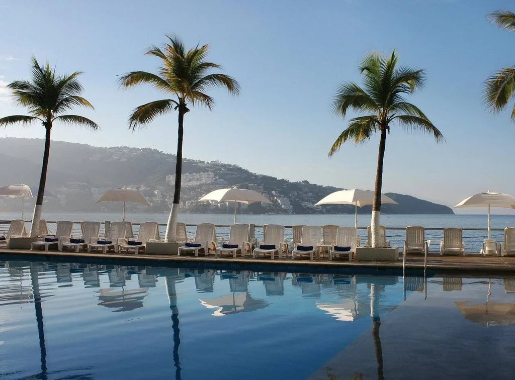 row of palm trees along pool