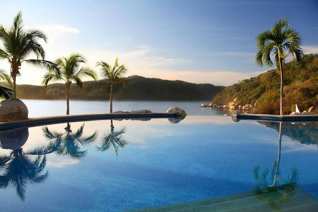 infinity pool with palm trees and mountain in background