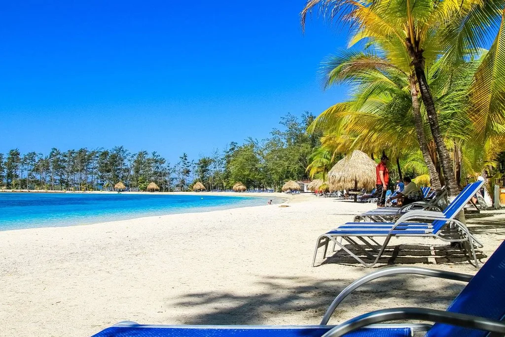 blue lounge chairs on the beach