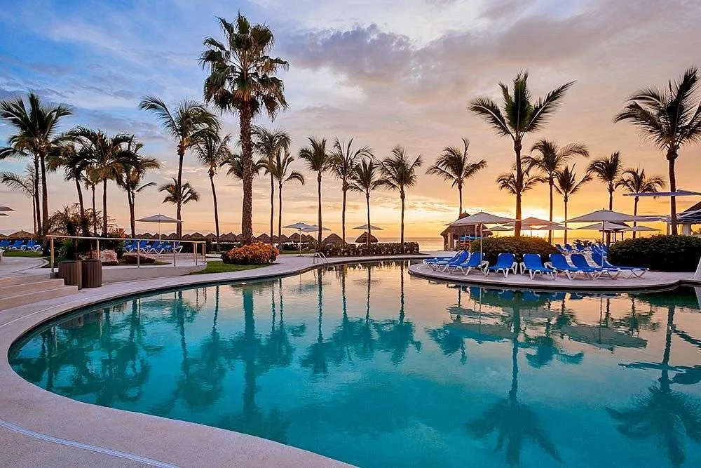 resort pool with many palm trees at sunset