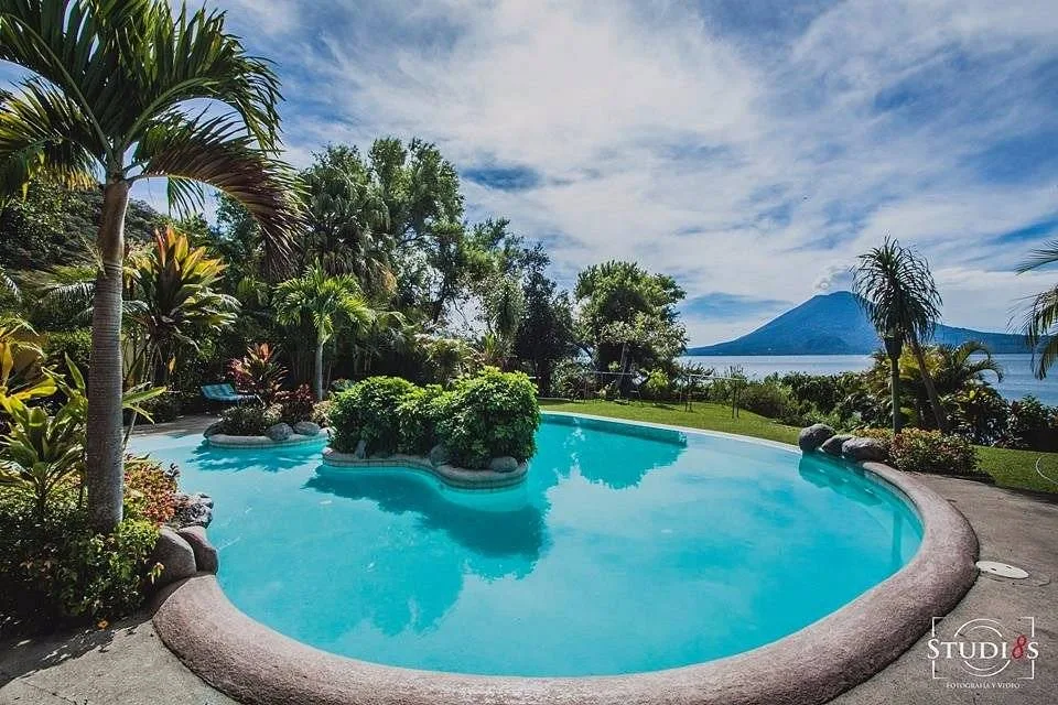 pool with palm trees and mountain in background