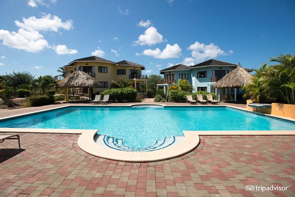 swimming pool with buildings in background
