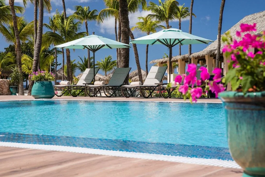 resort pool with lounge chairs umbrellas and red flowers