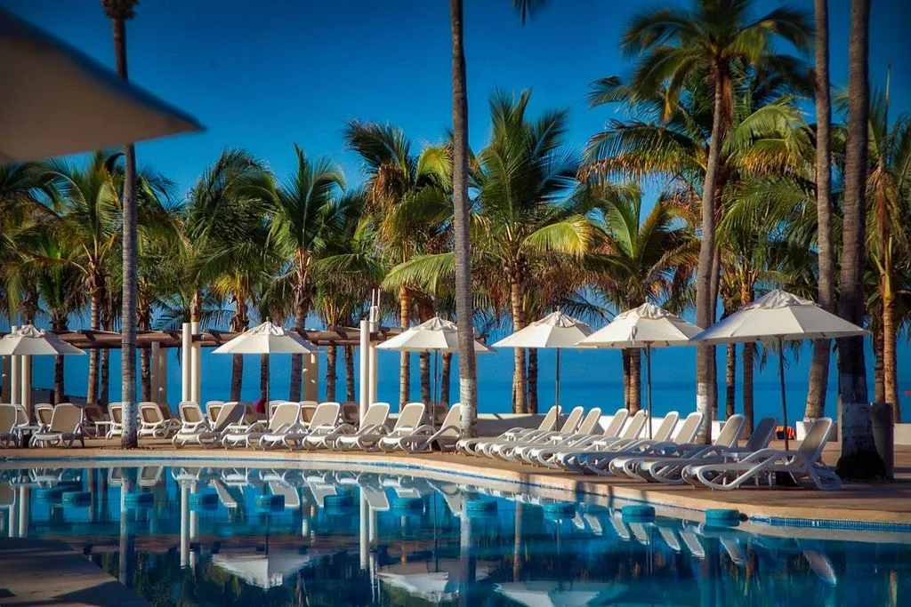 multiple palm trees lawn chairs and umbrellas at resort pool