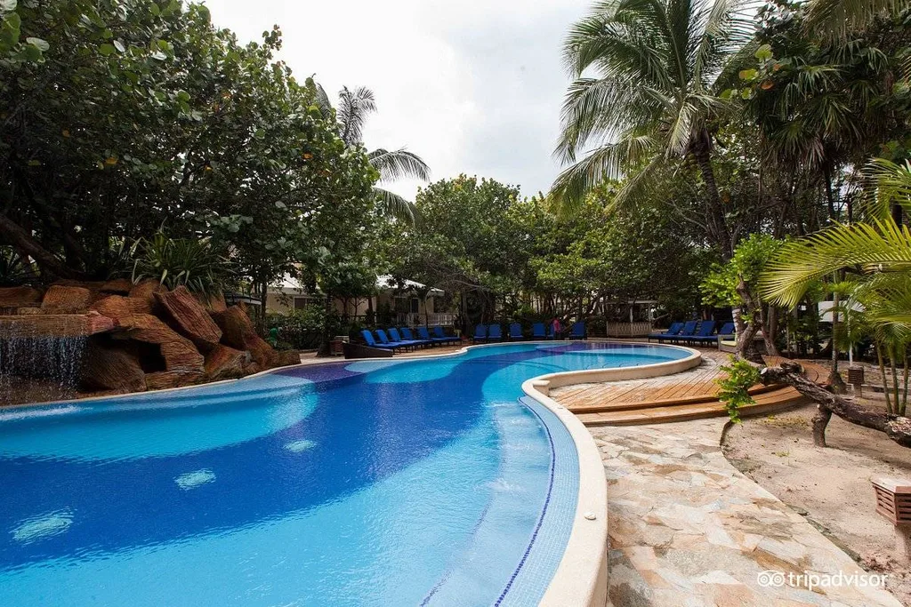 resort pool in the jungle