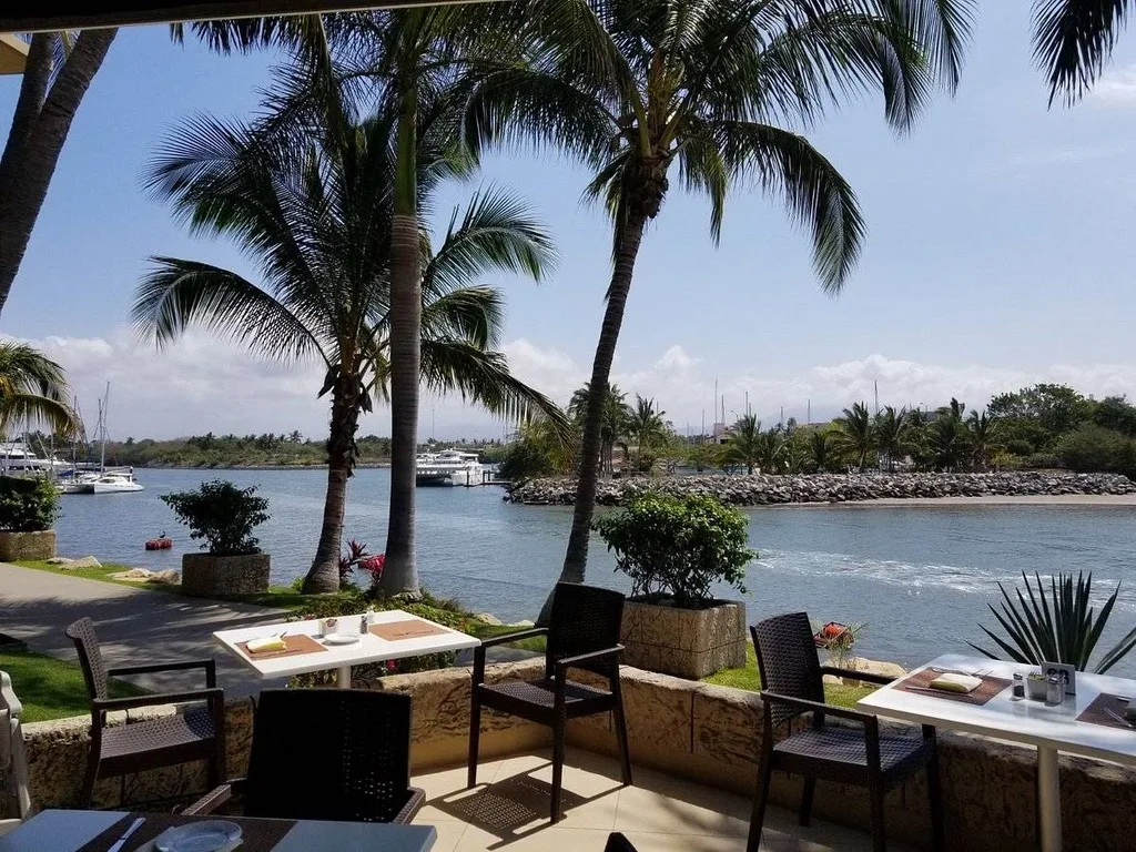 chairs and table on patio with palm trees