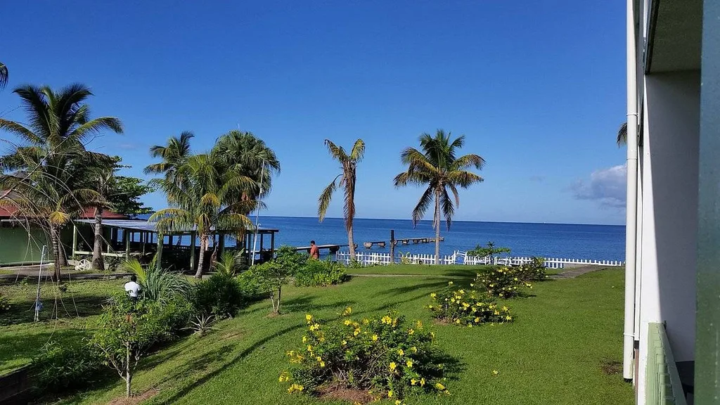 palm trees and yellow bushes near ocean
