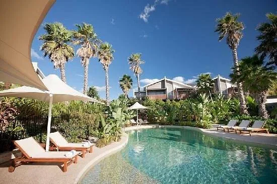 palm trees and lounge chairs around irregular resort pool