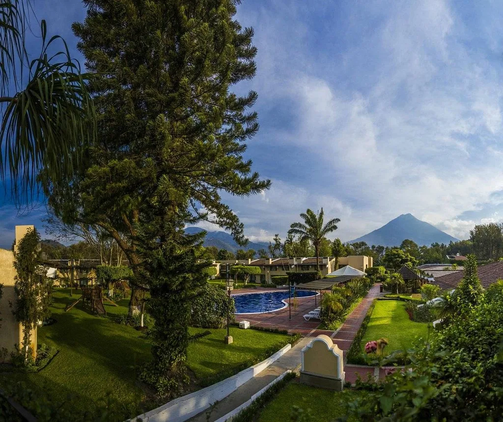 large tree and pool with mountain in background