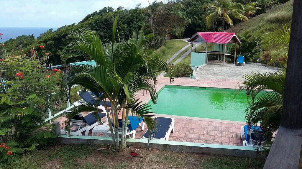 pool in jungle on a mountain