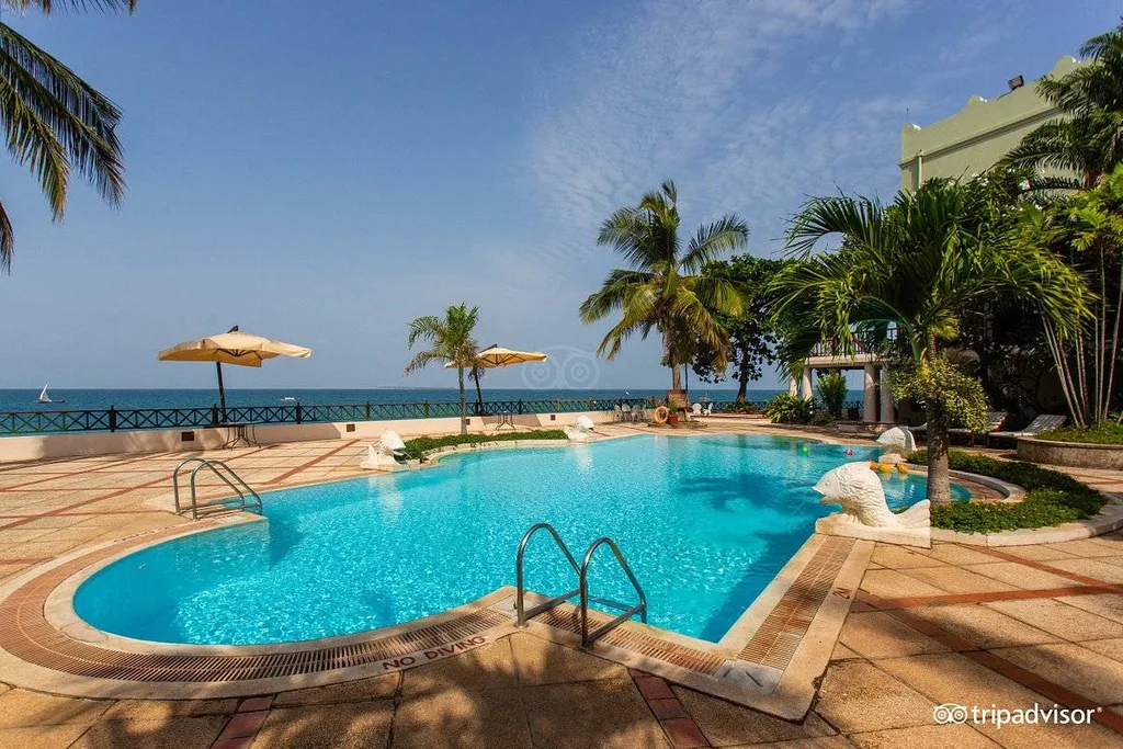 pool with palm trees at the ocean