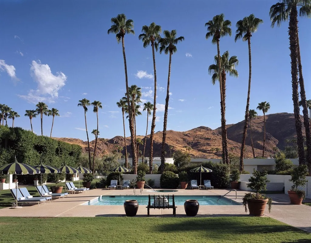 resort pool with giant palm trees and mountains in the background