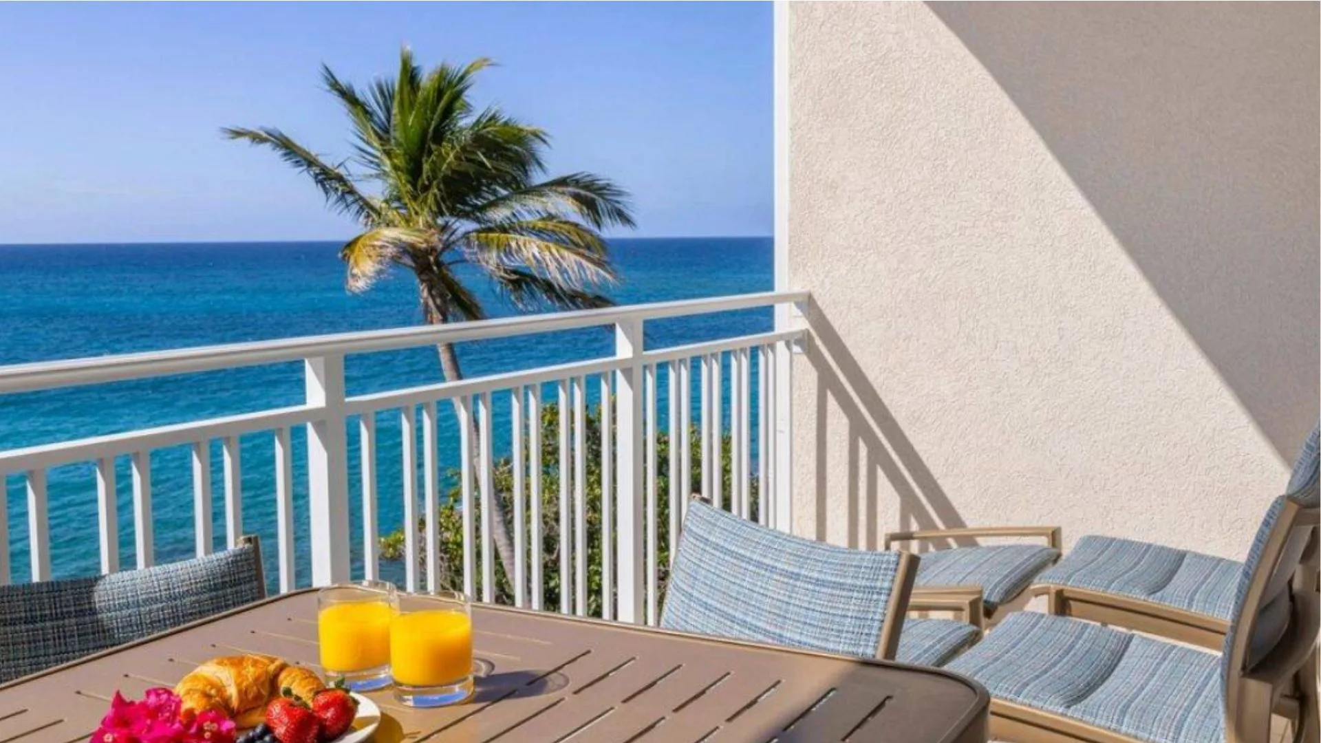 resort balcony overlooking ocean and palm tree with fruit and orange juice on the table
