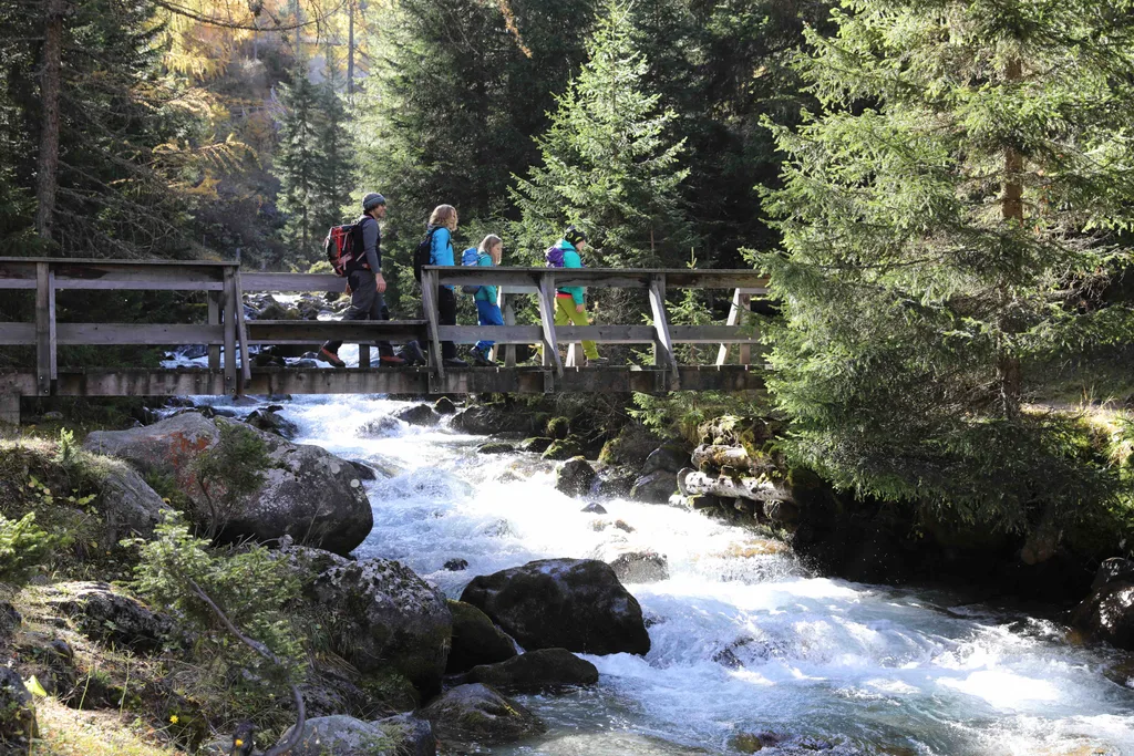 eine Brücke über einen Fluss im Wald