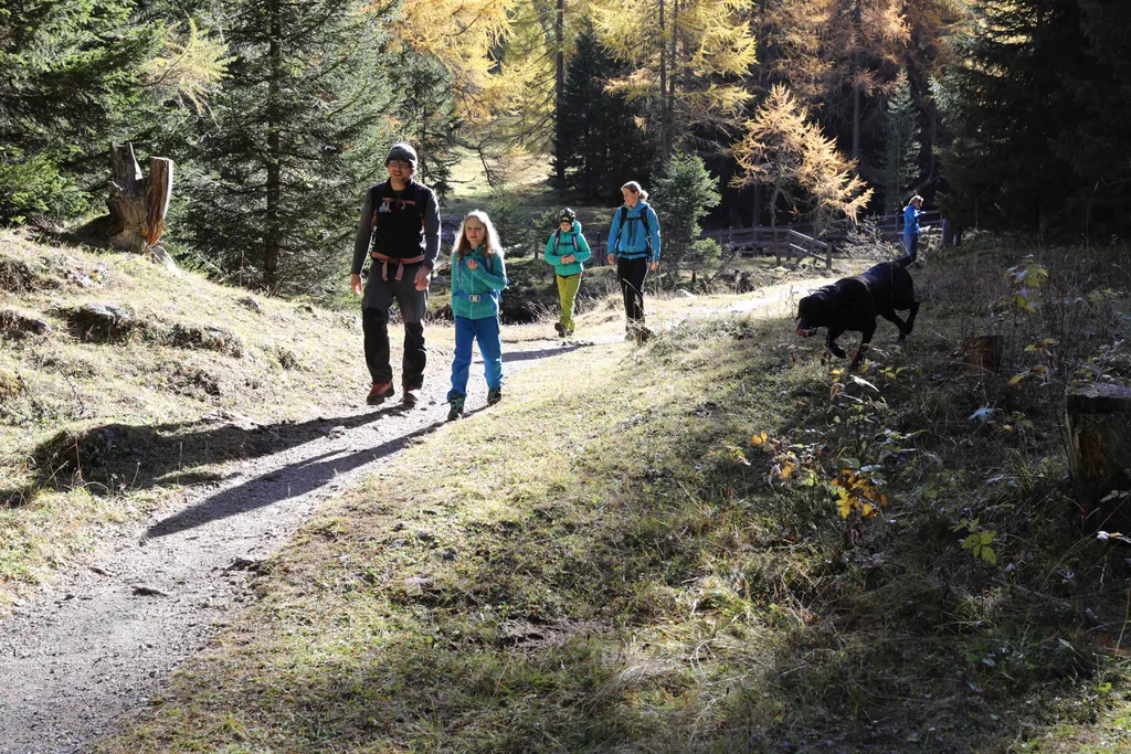 eine Familie, die durch einen Wald spaziert