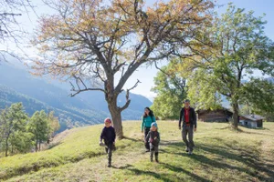 Natura Trail Binntal, Familie wandert über eine Wiese