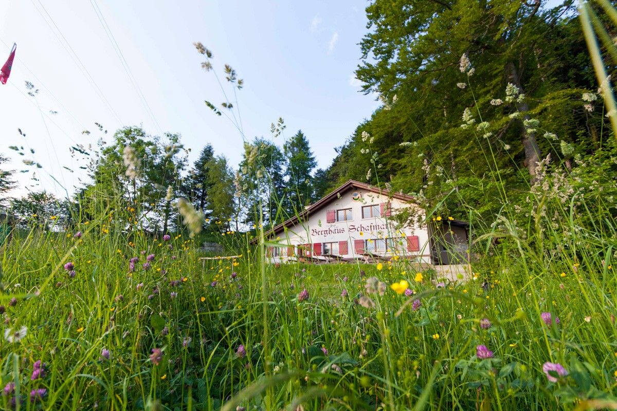 Au milieu de la verdure : maison de montagne Schafmatt.