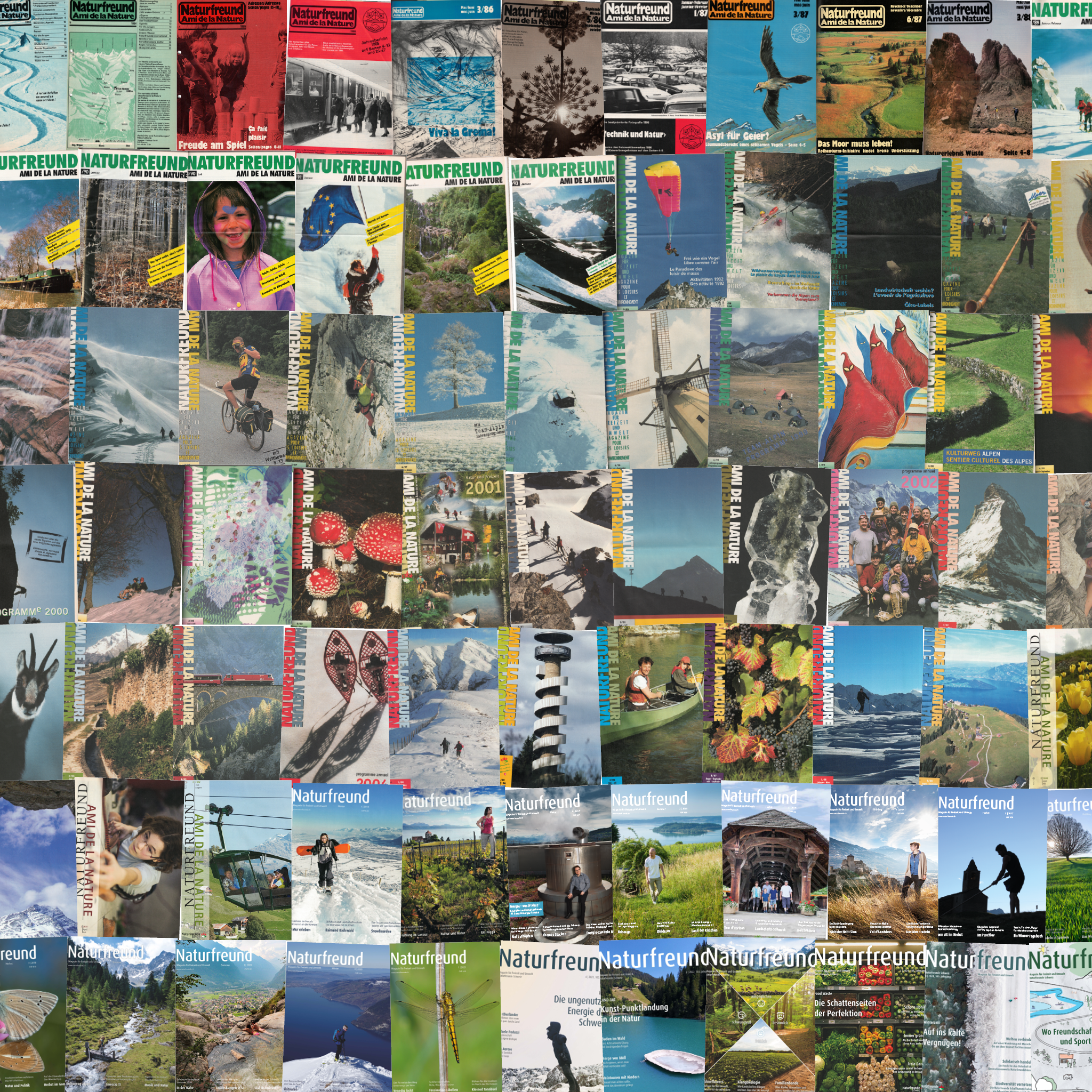 Collage der 