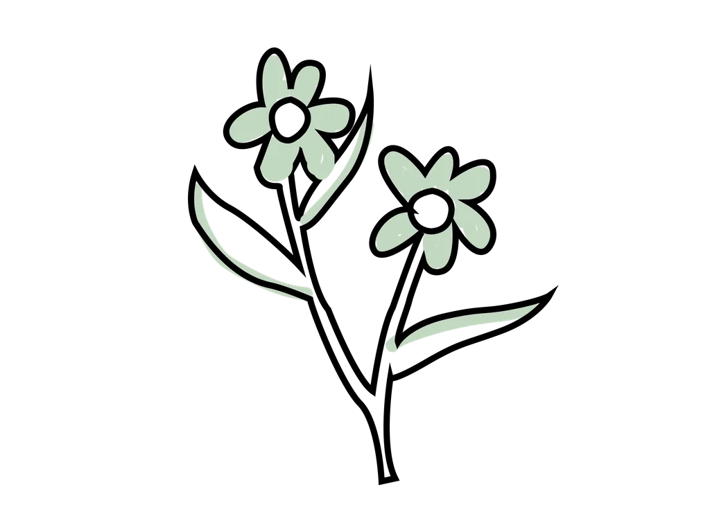 Illustration : fleur